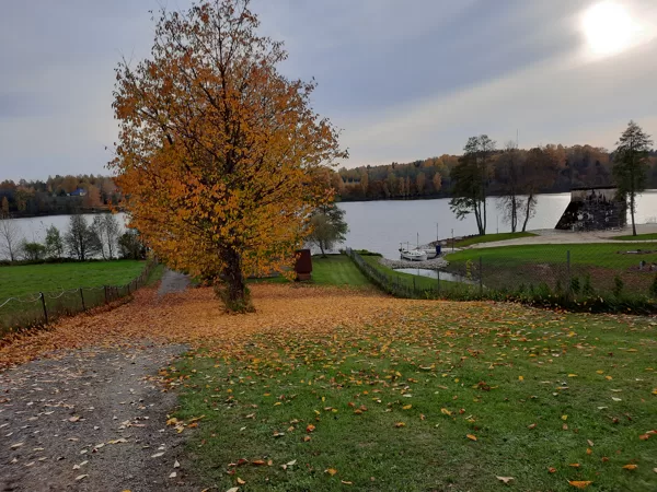 rudens skats